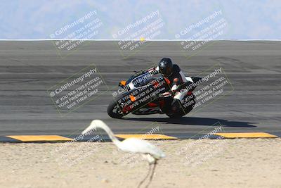 media/Jan-14-2024-SoCal Trackdays (Sun) [[2e55ec21a6]]/Bowl (11am)/